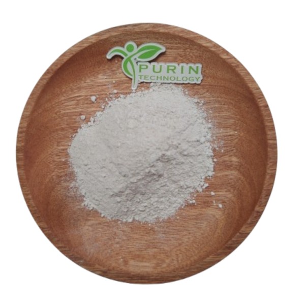 Saw Palmetto Extract Manufacturer - Herbal Powder 100%
