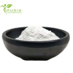 Lactobacillus Fermentum Factory - 100 Billion CFU Freeze Dried