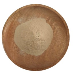 Astragalus Extract Manufacturer - Root Powder Natural