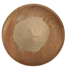 Astragalus Extract Manufacturer - Root Powder Natural