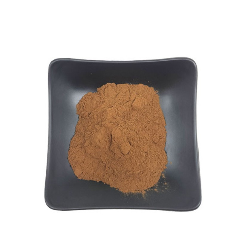 Gecko Extract Supplier - 30:1 Multi Specification Protein