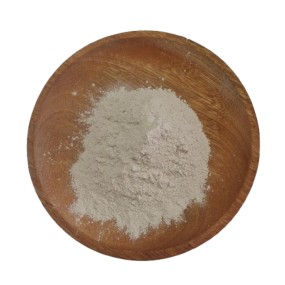 Bacillus Subtilis Factory - Microbial Feed Additive