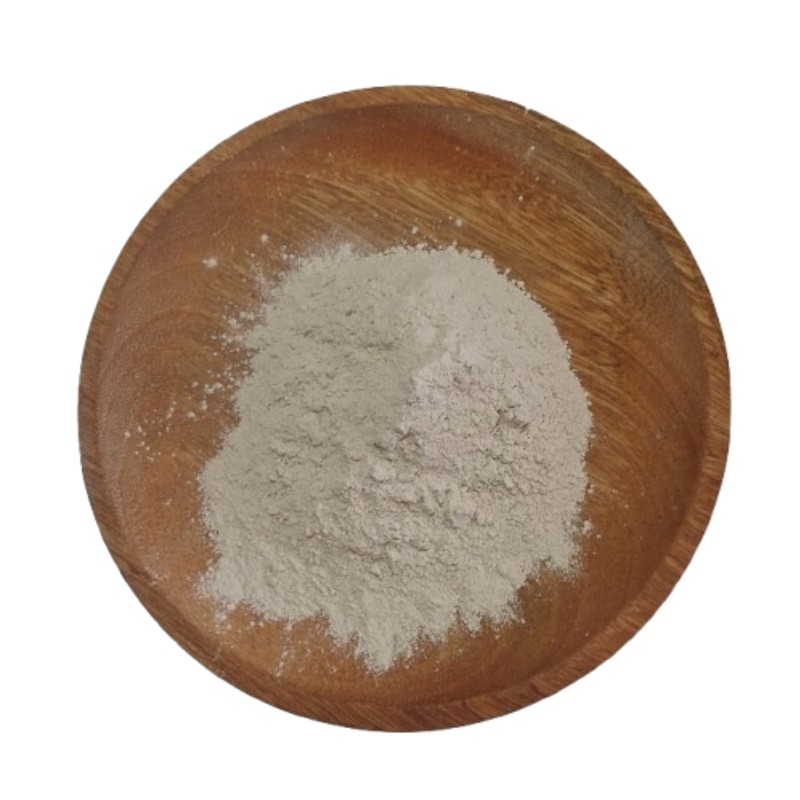 Bacillus Subtilis Factory - Microbial Feed Additive