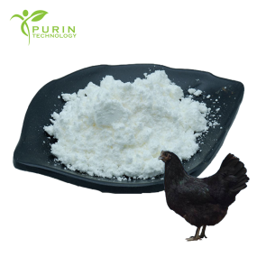 Black Chicken Peptide Supplier - Small Molecule Protein