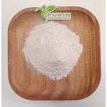 Bacillus Coagulans Supplier - High Purity Food Grade