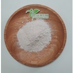 Saw Palmetto Extract Manufacturer - Herbal Powder 100%