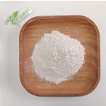 Bacillus Coagulans Supplier - High Purity Food Grade