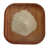 Tribulus Terrestris Supplier - Natural Plant Extract