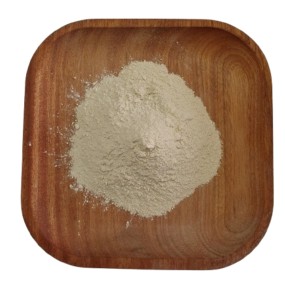 Tribulus Terrestris Supplier - Natural Plant Extract