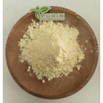 Olive Leaf Extract Factory - Organic Food Grade Pure