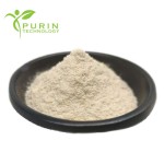 Lactobacillus Crispatus Manufacturer - 100 Billion Food Grade