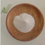 Lactobacillus Plantarum Supplier - 100 Billion Powder