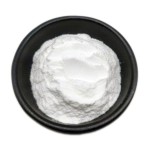 Lactobacillus Fermentum Factory - 100 Billion CFU Freeze Dried