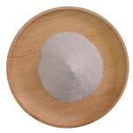 Paecilomyces Lilacinus Factory - Organic Biopesticide