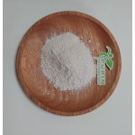 Bacillus Megaterium Manufacturer - Bio Fertilizer Health