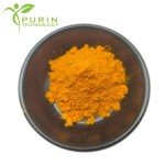 Golden Cheese Powder Supplier - Baking Food Ingredient