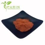 Hemoglobin Powder Manufacturer - 70-90% Pet Food Grade
