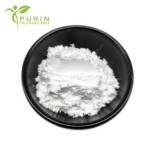 Bifidobacterium Longum Supplier - Bulk Probiotic Supplement