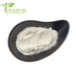 Milk Extract Manufacturer - 10:1 Cosmetic Concentrated