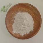 Bacillus Subtilis Powder Manufacturer - 10-200 Billion CFU