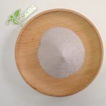 Paecilomyces Lilacinus Factory - Organic Biopesticide