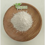 Actinomycete Probiotics Supplier - Soil Biological Fertilizer