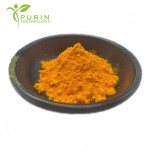 Golden Cheese Powder Supplier - Baking Food Ingredient