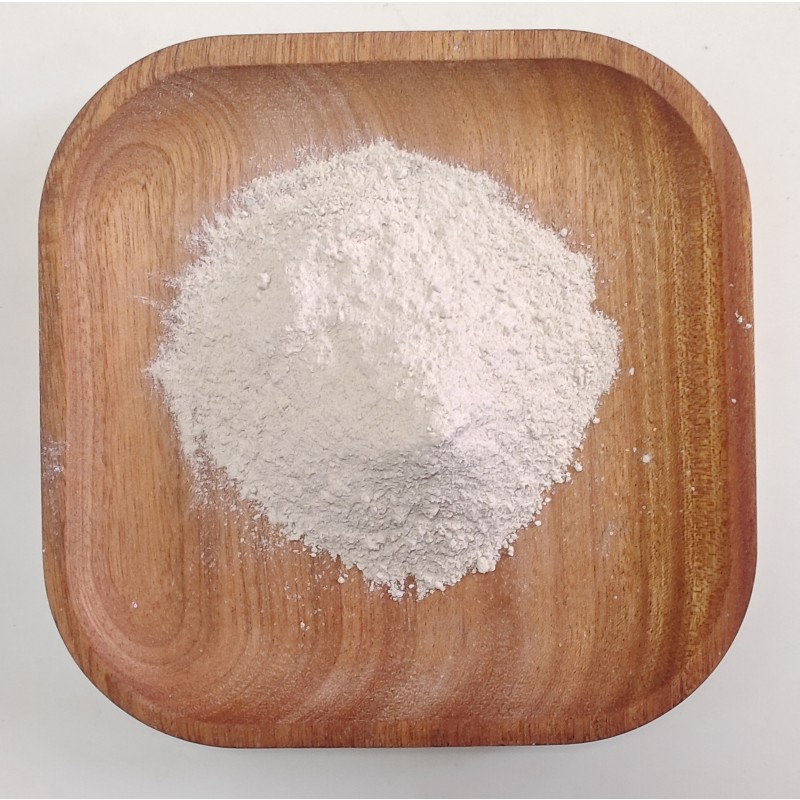 Bacillus Coagulans Supplier - High Purity Food Grade