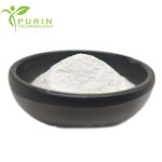 Lactobacillus Johnsonii Manufacturer - 100 Billion Probiotic