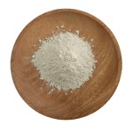 Actinomycete Probiotics Factory - Soil Health Fertilizer