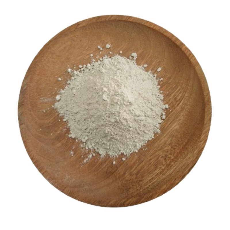 Actinomycete Probiotics Factory - Soil Health Fertilizer