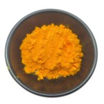 Golden Cheese Powder Supplier - Baking Food Ingredient