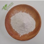 Bacillus Coagulans Manufacturer - Feed Grade Additive