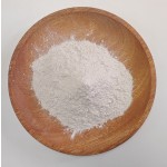Bacillus Coagulans Supplier - Food Grade Probiotic