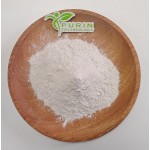 Bacillus Coagulans Manufacturer - Feed Grade Additive