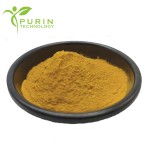 Egg Phospholipids Manufacturer - 98% PC70-80% Lecithin