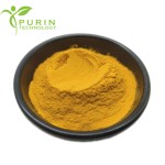 Egg Phospholipids Manufacturer - 98% PC70-80% Lecithin