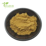 Bear Bile Powder Factory - 99% Taurocholic Acid ISO