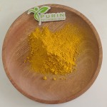 Rosemary Extract Manufacturer - Natural Bulk Food Grade