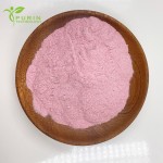 Lactoferrin Powder Manufacturer - 95% Nutritional Supplement