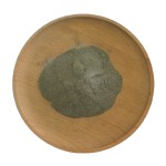 Trichoderma Tarzianum Factory - Biocontrol Agent Probiotics