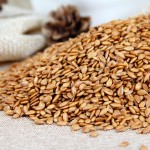 Linseed Manufacturer - 100% Natural Top Quality