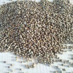 Hemp Seeds Supplier - Animal Feed Bird Grain