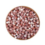 Euryale Fruit Supplier - Gorgon Seed Natural