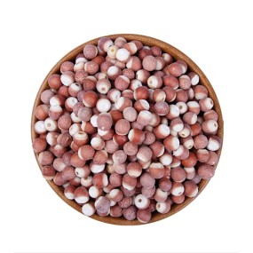 Euryale Fruit Supplier - Gorgon Seed Natural