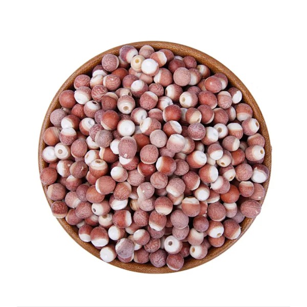 Euryale Fruit Supplier - Gorgon Seed Natural