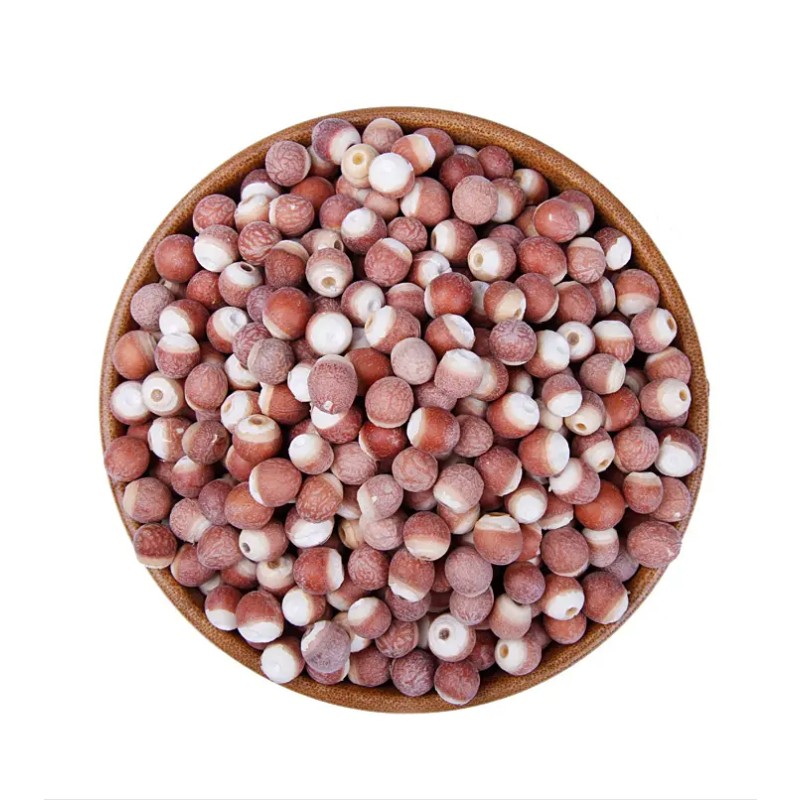 Euryale Fruit Supplier - Gorgon Seed Natural