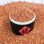 Red Sorghum Supplier - Parrot Food Bird Seed