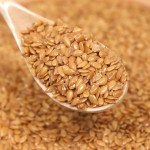 Linseed Manufacturer - 100% Natural Top Quality