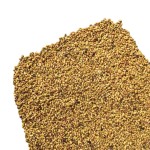Alfalfa Seeds Supplier - Bird Food Grain Bulk